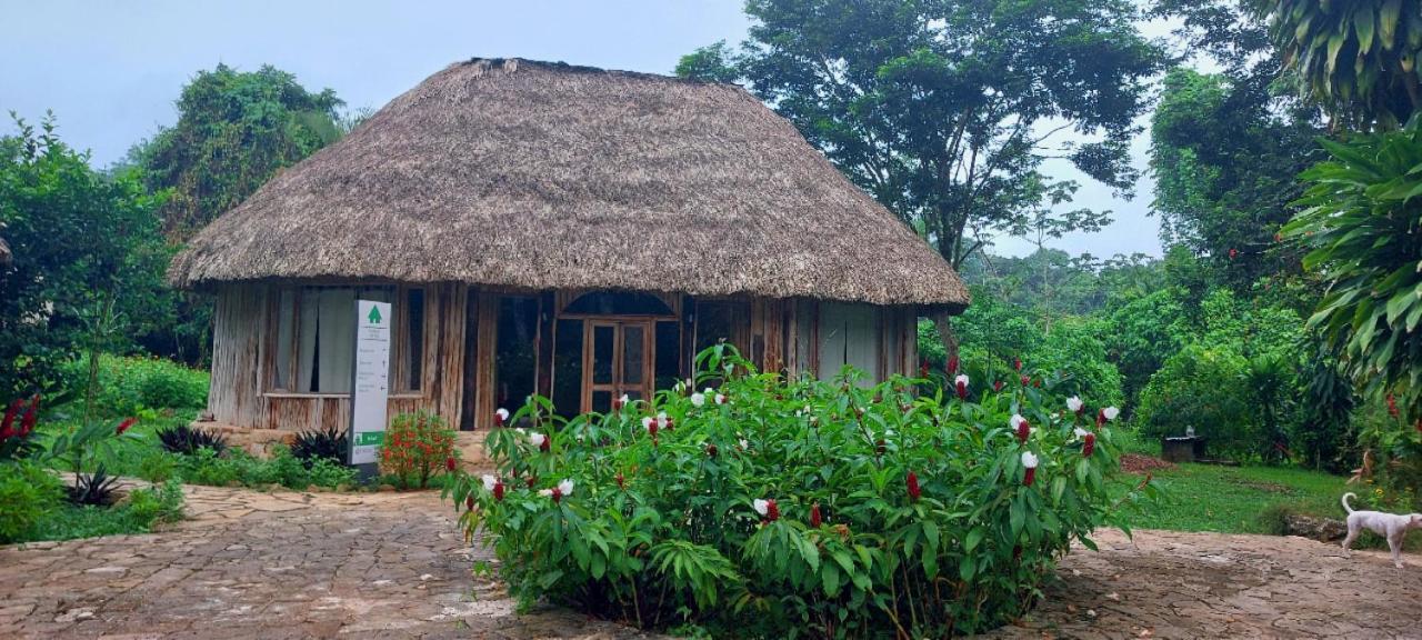 Eco Hotel Sak Nok Lacanjá Exterior foto